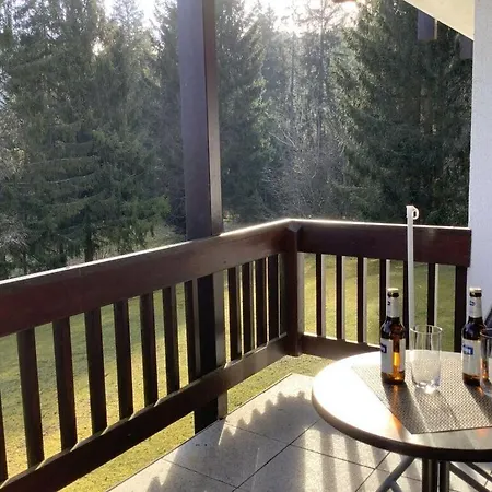 Hochfirst 9 Titisee-Neustadt