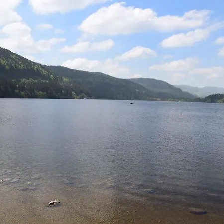 Hochfirst 9 Titisee-Neustadt