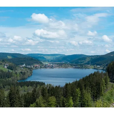 Hochfirst 9 Feriehus